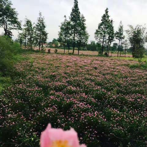 家校连心  共待春暖花开