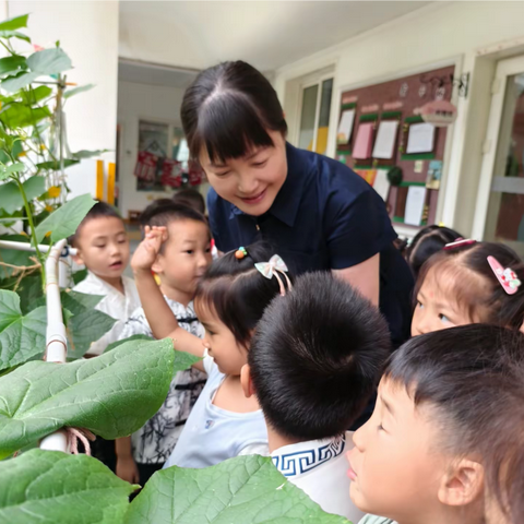 幼儿园里的故事——遇见黄瓜