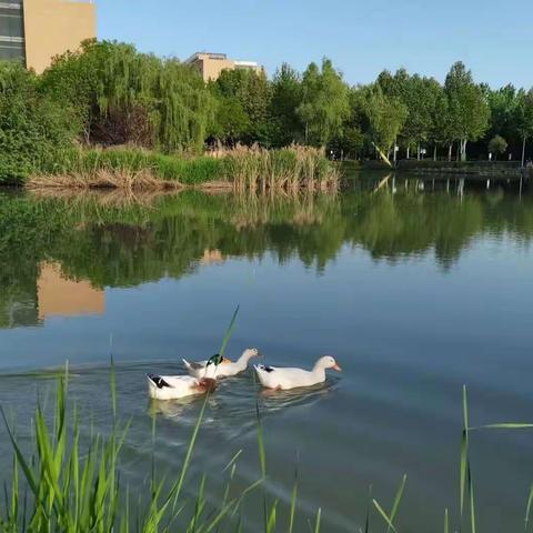 知行合一劳动美，点赞充实的修缮人。