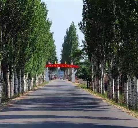 我的职业故事~怀念我那吃百家饭的日子