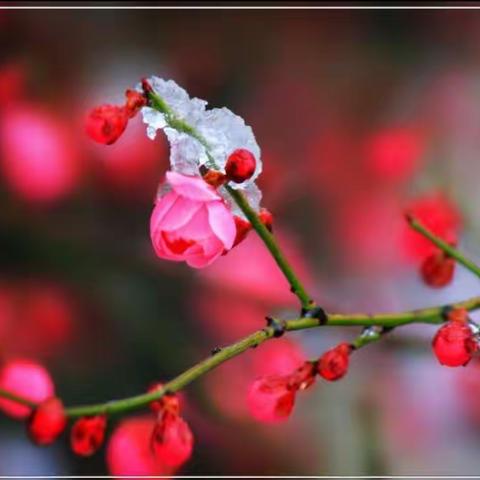 春风春雨春光，花草树木芬芳。 —宾县宾州镇中心学校