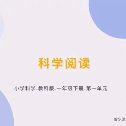 萧红小学科学第十五周一学年课前准备