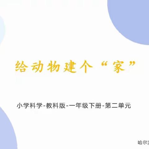 萧红小学第十二周科学一学年课前准备