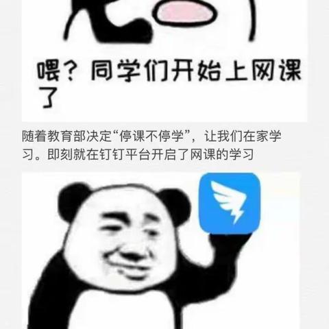 上网课真使我快乐呀！😭😭😭