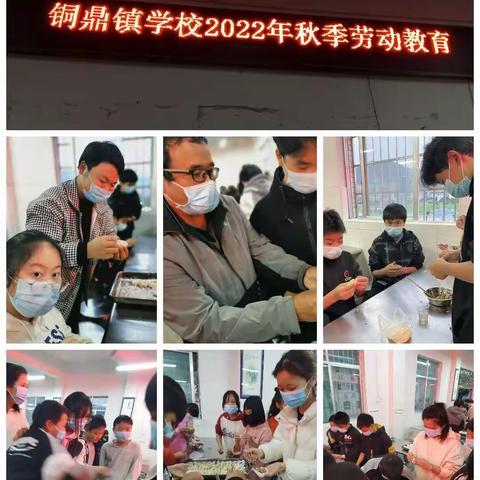 上好“劳动”这堂必修课——铜鼎镇学校2022年秋季劳动教育