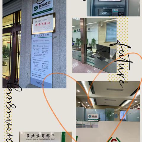 存款保险宣传，我们在行动。