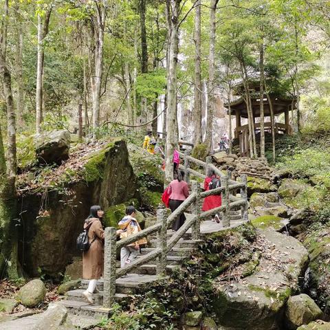 寻山问水访＂仙姑＂一一姑婆山