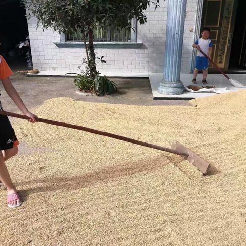 迎新小学开展“厉行节约 反对浪费”系列活动之一