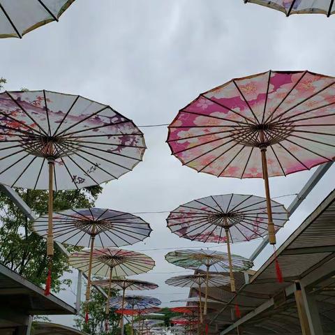 疫散花开，等你归来——红星中心学校迎接秋季开学区视导组指导工作。