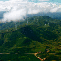 闪闪的红星——网课周总（八）