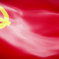 凝心聚力, 踔厉奋发——哈尔滨市阿城区红星中心校党支部委员会换届选举大会