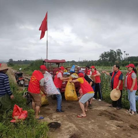 美丽乡村你我共建，边肚村党员在行动