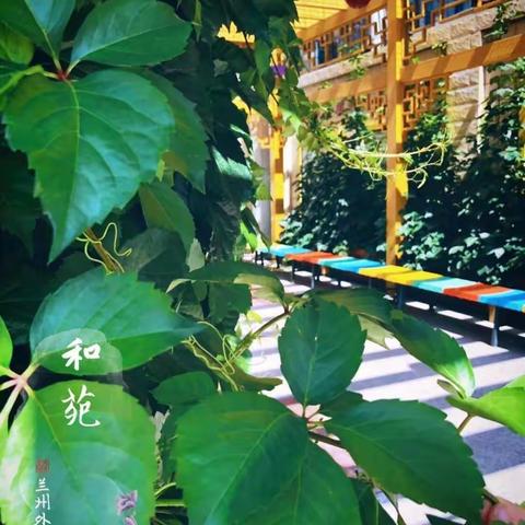 携手教研促发展，虎力全开谱新篇——理化生组三段式教研晒课活动