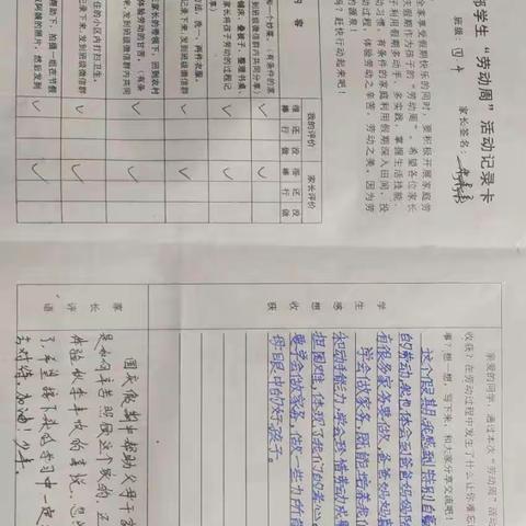 我劳动，我快乐——实验中学四年级四班劳动周纪实