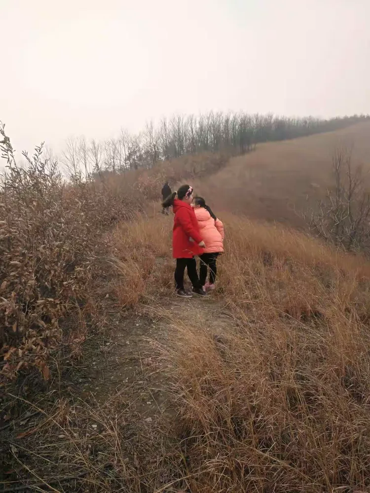 梦回乡间，与母同行，偶遇同学，归途寻母的梦境之旅