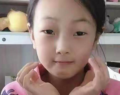 红旗小学梅闳然思维导图作品集