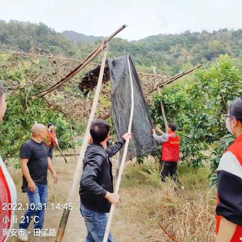 【温州瑞安】高楼镇村居环境整治大比武简报（100）