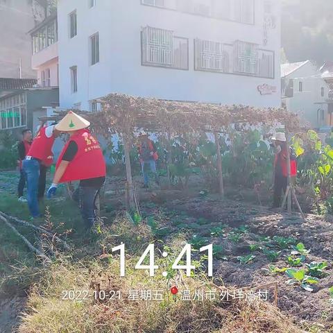 【温州瑞安】高楼镇村居环境整治大比武简报（97）