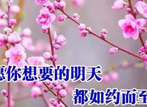 五月风情——蜜蜜生日篇