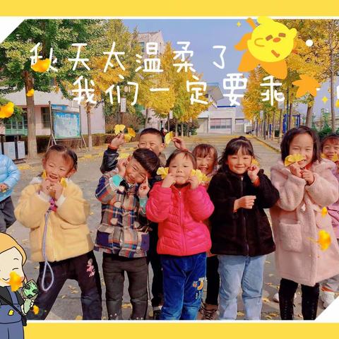 从来银杏不负秋——来黑小寻找那一抹深秋最绚烂的颜色