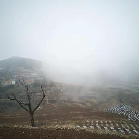 鹅屋美丽山雾