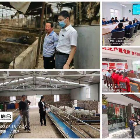 央行清算走进千企万户