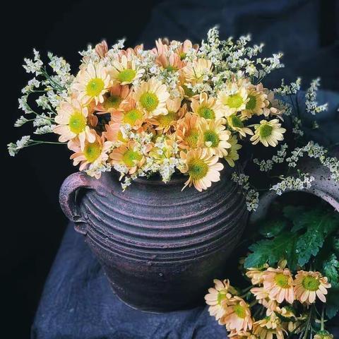 后督业务处理小贴士