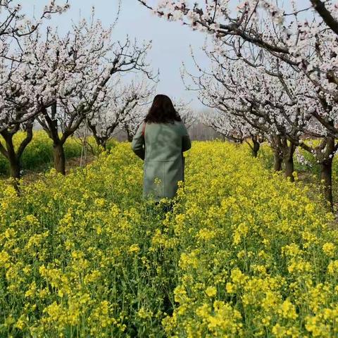 我和春天有个约会