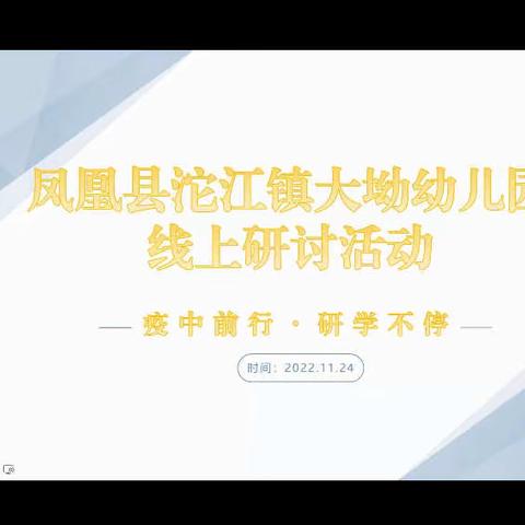 凤凰县沱江镇大坳幼儿园班级大型主题角色游戏专题教研活动