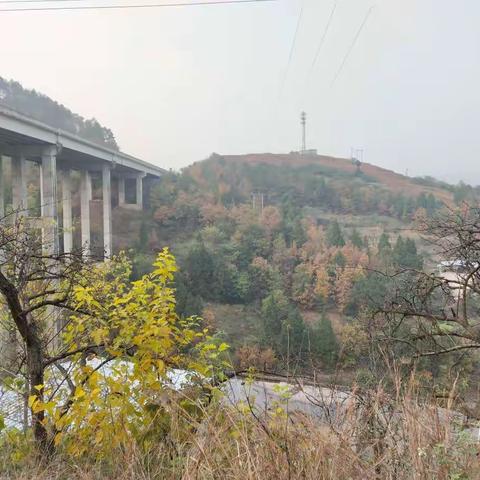 大王派我来巡山