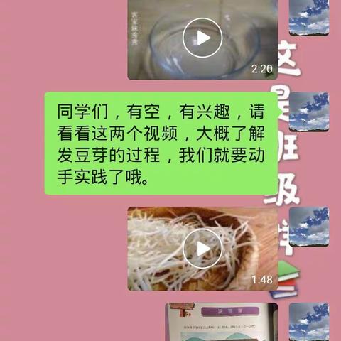 我会发豆芽啦！