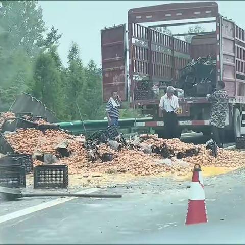 罗翔: 我们为什么要活着