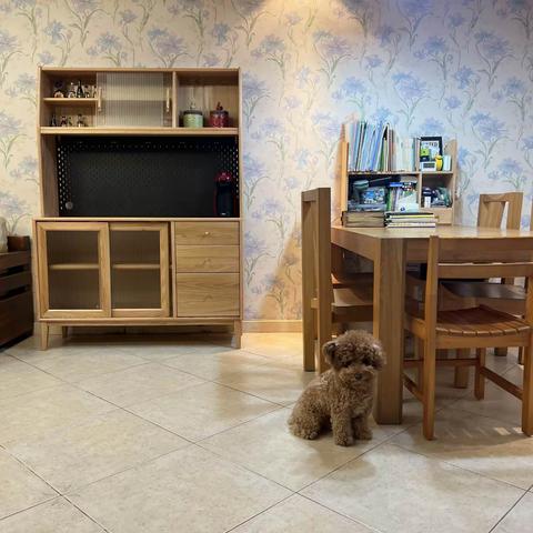 郑修齐--百元改造家计划