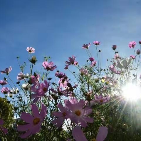 停课不停学，不负好时光