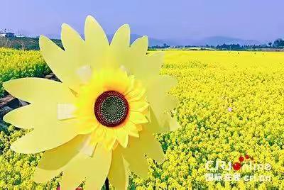 新学年     启航谱新篇——温滴楼镇初中2023——2024学年度第一学期开学典礼