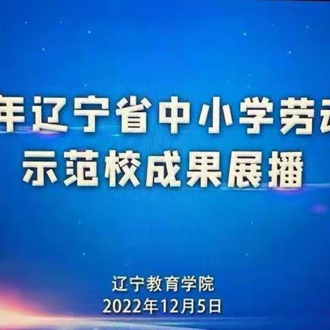 立足核心素养，践行劳动理念—温滴楼镇初级中学劳动培训总结及课程实施方案