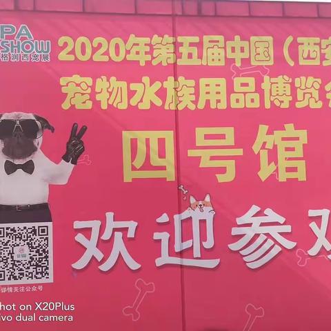 🌸渭职院 农林科技学院师生参观西安宠物展
