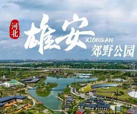 凉风有信，佳人有约——雄安郊野公园半日游