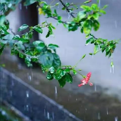六一快乐