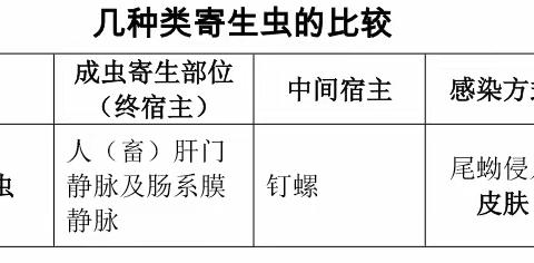 【动物学4班】第一组第三周学习心得分享