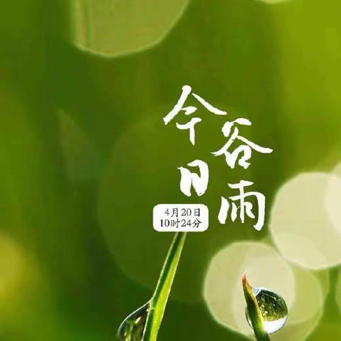 北方幼儿园中三班“谷雨”节气活动！