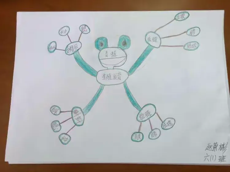 小青蛙旅行记,第六站