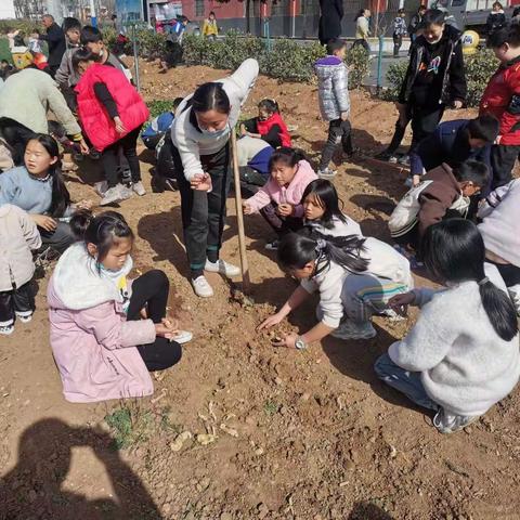 “学雷锋爱劳动  争做时代好少年”    ——夏馆中心小学开展劳动教育实践活动