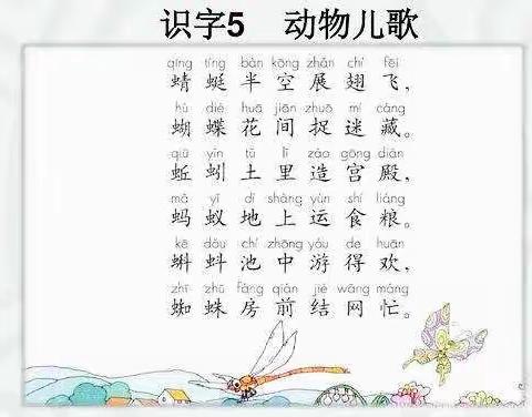 项目学习《动物名字的秘密》成果汇报——五塔寺东街小学一年级二班学习四组