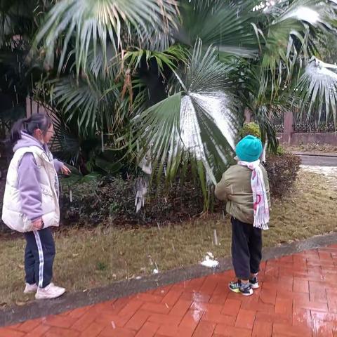 2023年的第一场雪