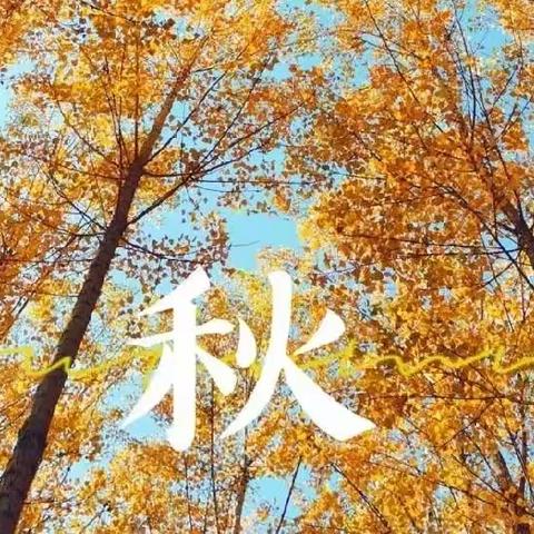 《树叶有“画”要说》——唐朝墩幼儿园小班年级树叶粘贴画活动