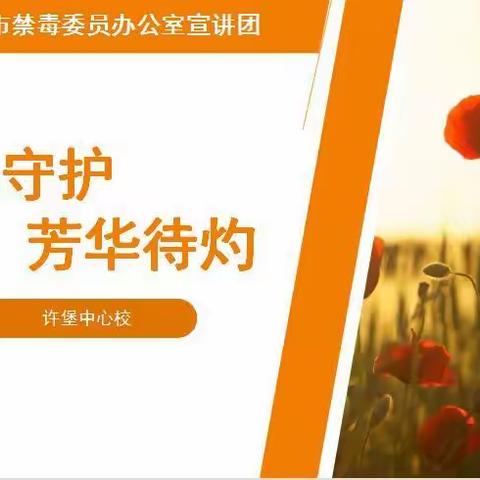 "无毒守护 芳华待灼”教育课