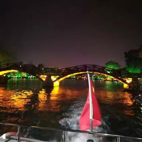 南国三遇海鸥