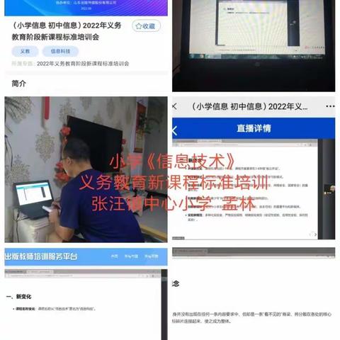 学习新课标 明确新方向 做好领路人——张汪镇小学信息技术新课标培训活动