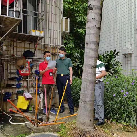 布吉街道8月11日环提督导重点